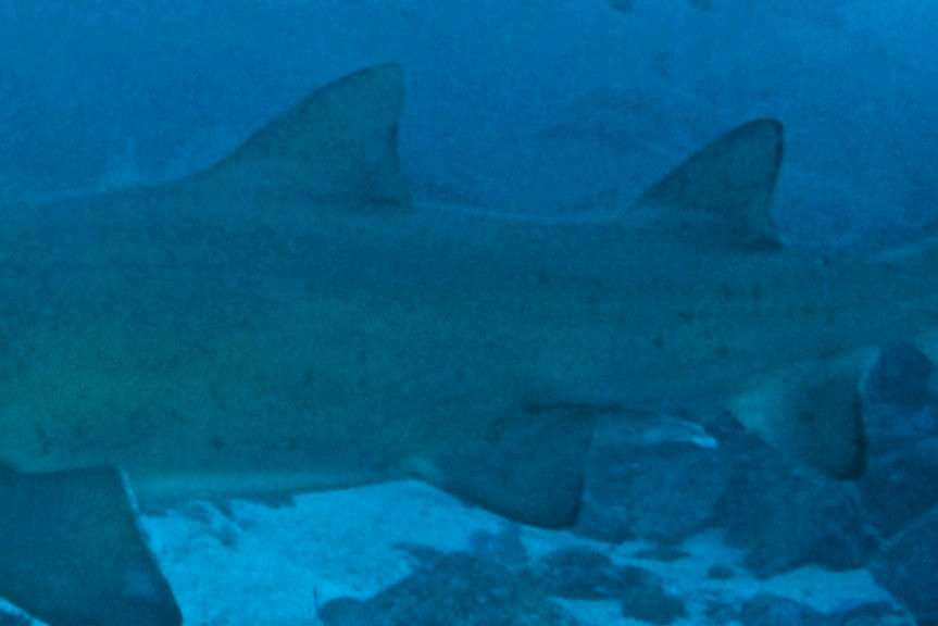 52899f98-9435-4815-aef9-5955ac9c261f