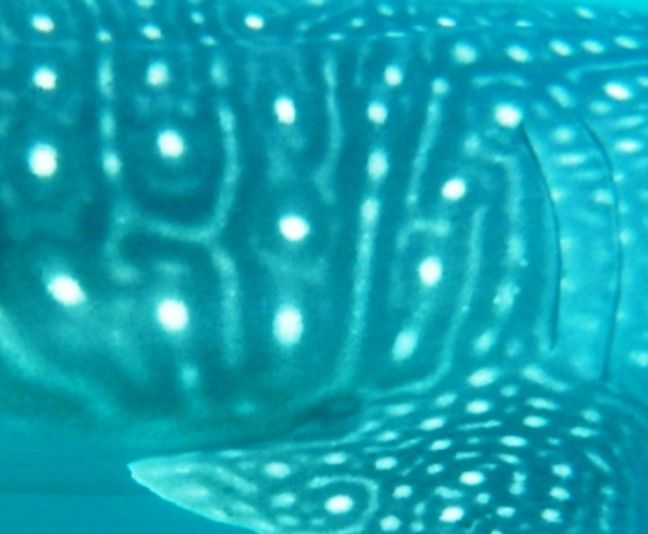 b7b33171-0e88-4106-93ec-1109cfdecaf9