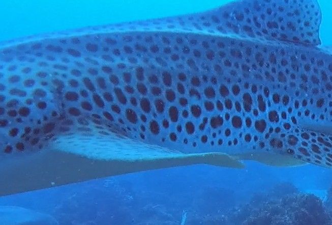 8d183822-cca5-4846-af8f-246e112f0016