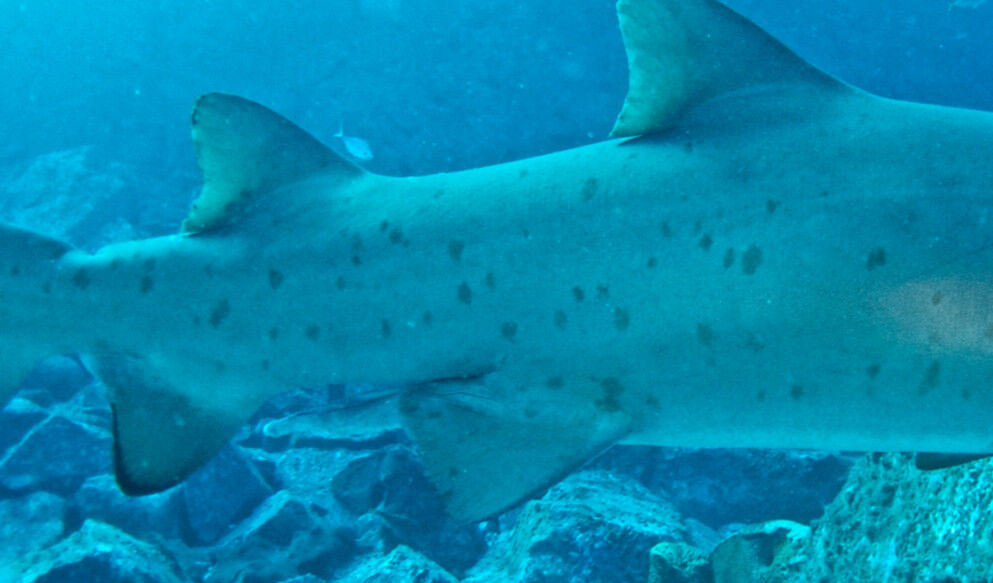 451d2b02-0b16-42be-872e-bddecea7eca2