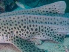 24d3f616-672c-4a9b-a37f-f38ecbf1ded2