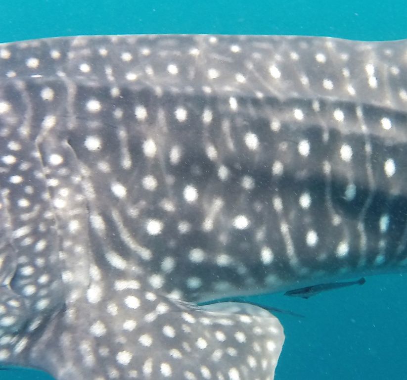 f8b9bdb9-9cc3-4e6f-b947-487f07043eae