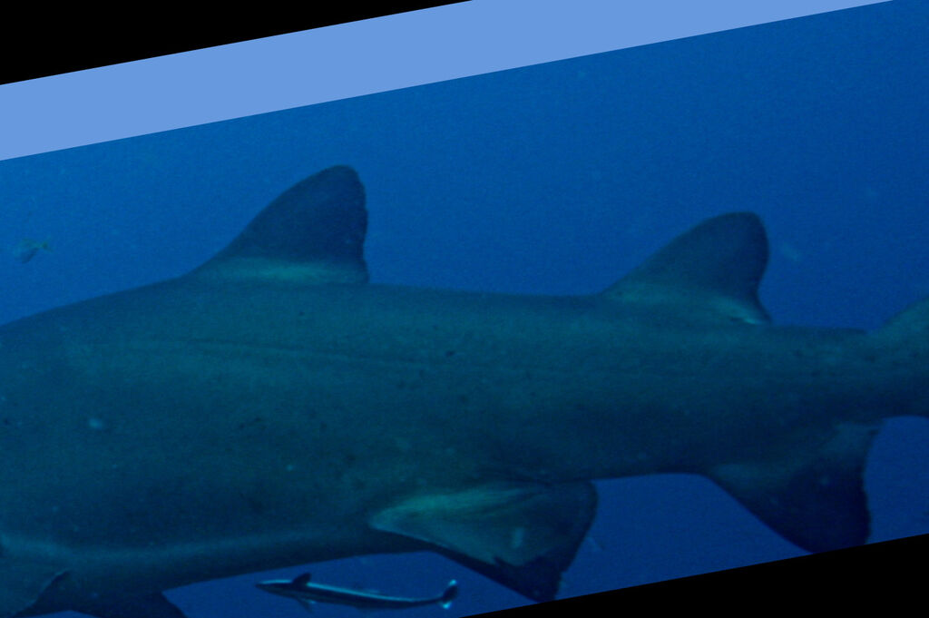 e1ad1e69-3972-40d4-a90d-7768f2931df6