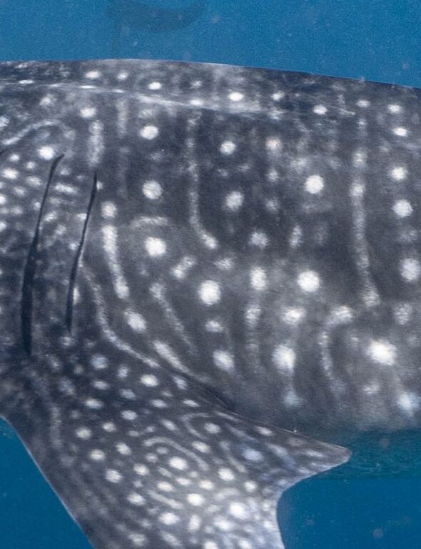 3023d337-6268-4b8c-afc0-95e74d8b8316