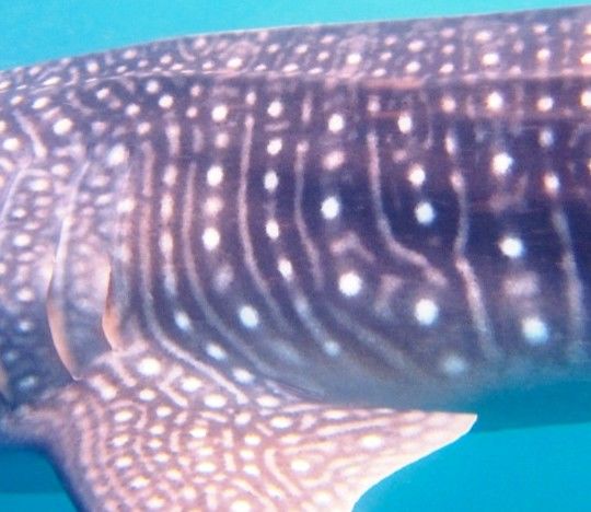 0d9795e0-2cde-43de-80bd-c8db7ebc07fa