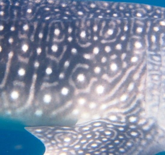 0d9795e0-2cde-43de-80bd-c8db7ebc07fa