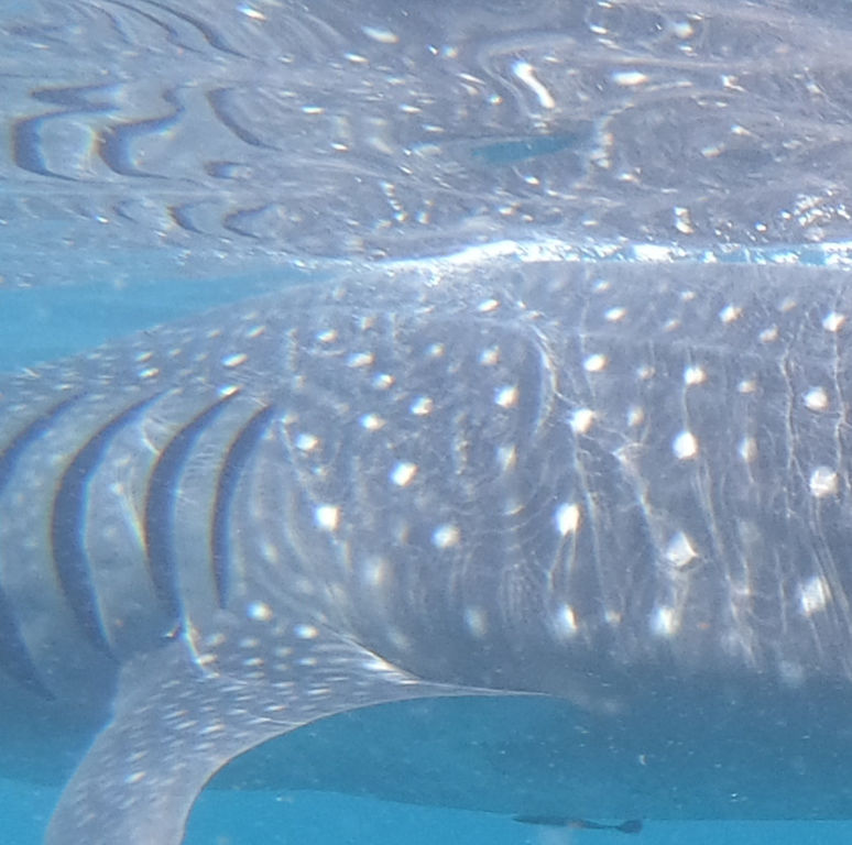 44d4ab4d-0817-42e9-903f-919aa3f3057a