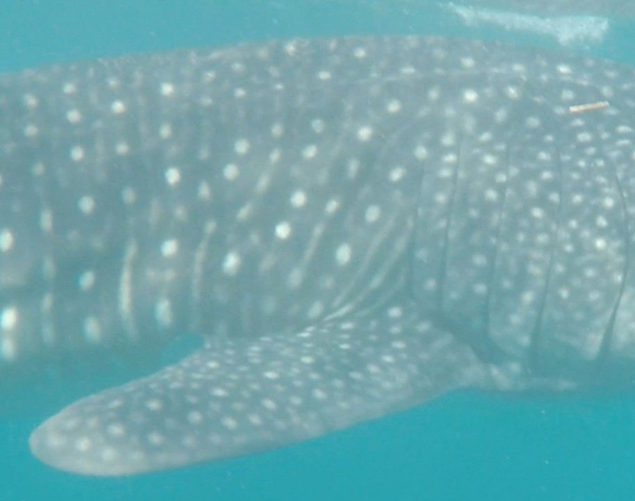 2567d51a-8c77-4d19-866e-f23620f5ce85