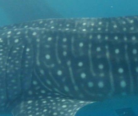 2567d51a-8c77-4d19-866e-f23620f5ce85