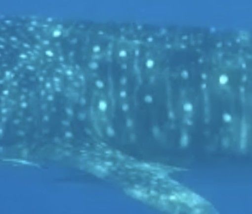 f661e9c0-edf6-4d9b-b4dd-fad387b7afa6