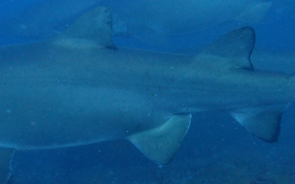 24fa040a-61a2-458c-a343-828b95541b8c