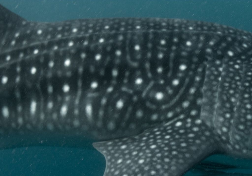 7212e0cc-d5f7-499f-92ef-5245d391e138