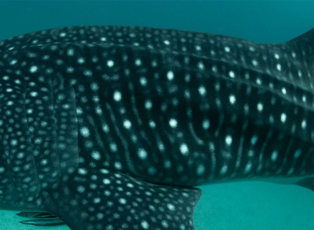 7212e0cc-d5f7-499f-92ef-5245d391e138