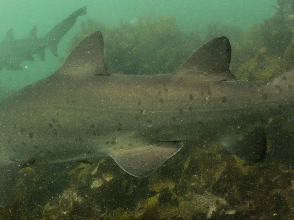 6402c64b-fd64-4145-b150-a9c43e9cc894