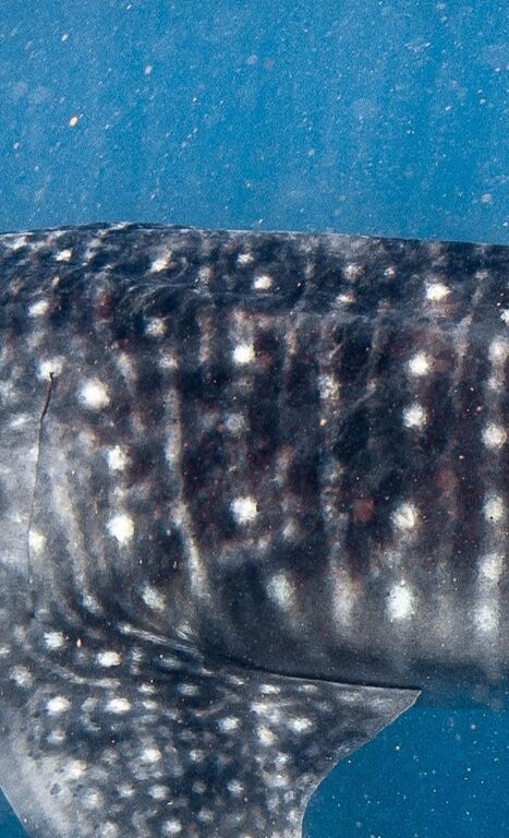 0b32b038-3174-4153-9937-14767f62cc79