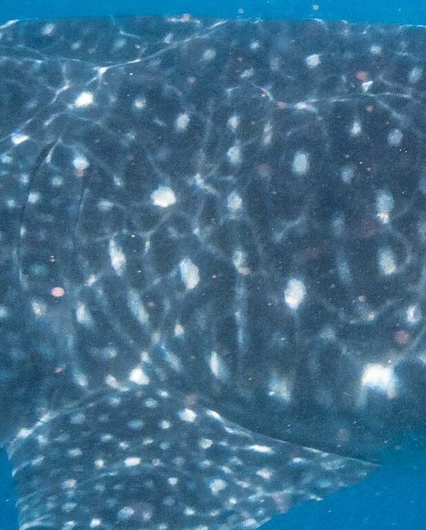 e28c476b-94a3-4b0d-84cc-e954823daca4