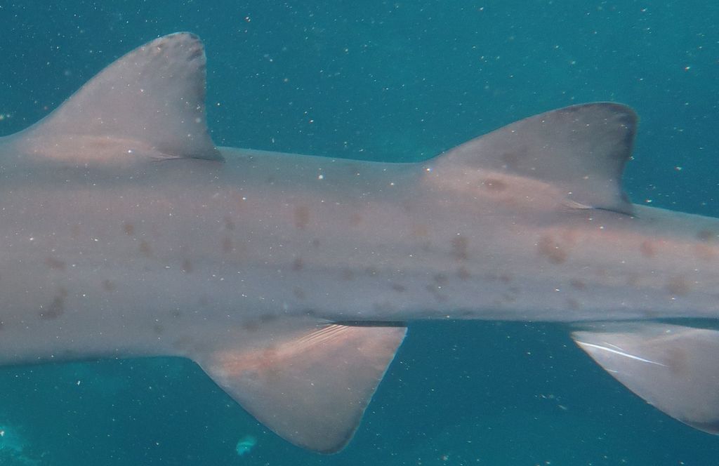 ab877c31-8ad9-490c-8141-1e3ddfc94c6e