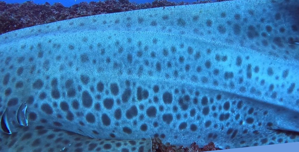 34551923-1f8e-424e-82d1-f2125fc5ede6