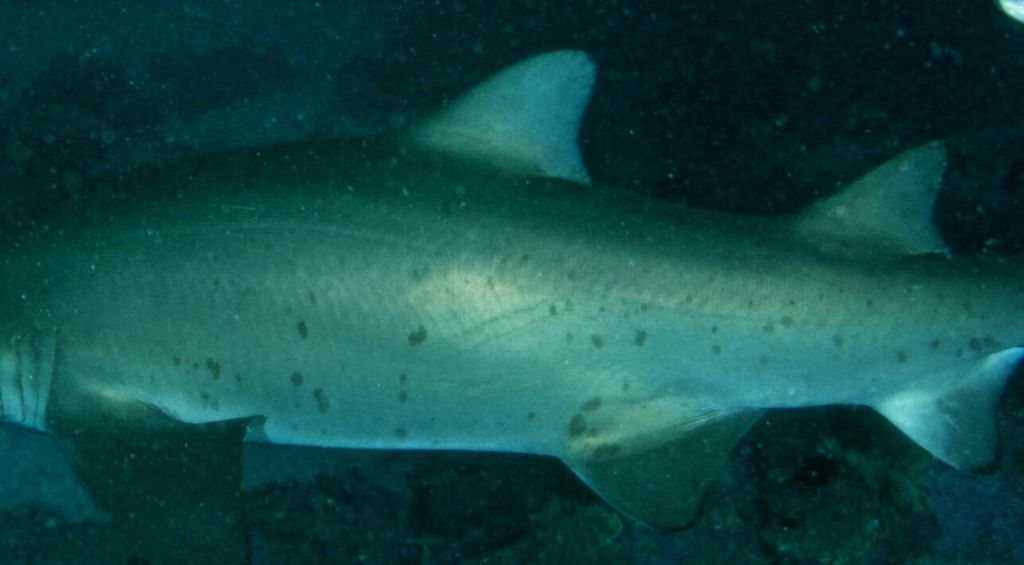 1f89151e-240c-454f-a365-2c555d093639