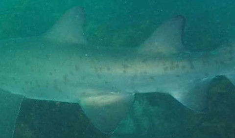 1a6be892-b5e7-4c98-b9ce-8b2f655b8336