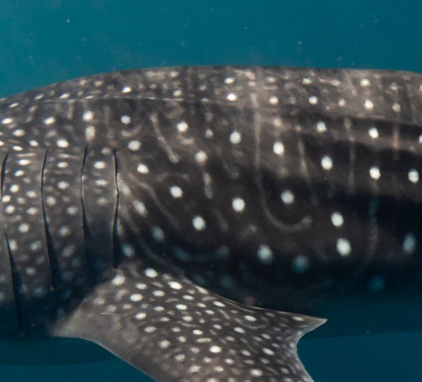 68688874-29de-4864-9534-15b0dadb2494