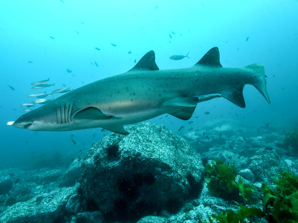 851845cf-33c9-47ea-bed2-bf6e5763c2ff