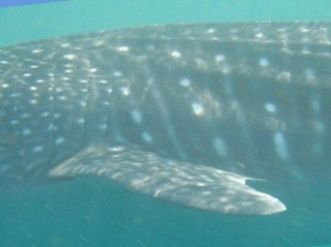 1aff05a6-f38d-4be0-a42e-85ccc774f273