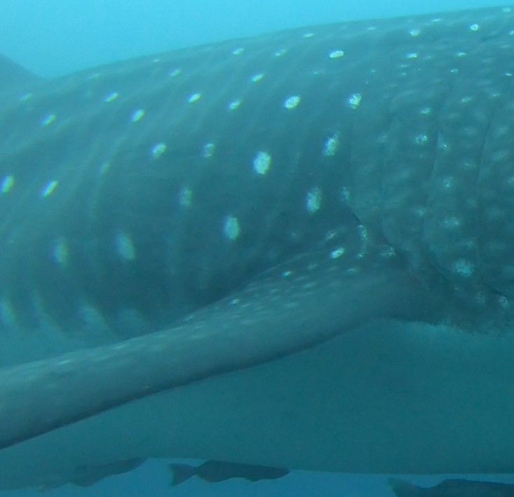 3a0eef9f-4245-4a7a-95fa-30519772a644