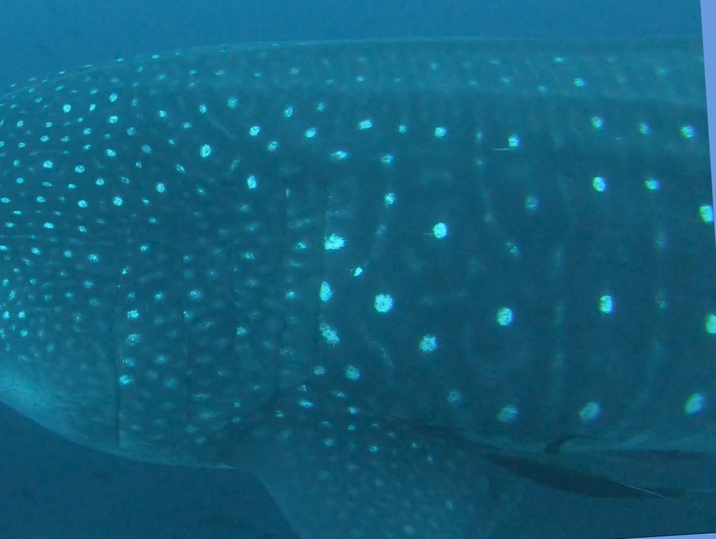 3a0eef9f-4245-4a7a-95fa-30519772a644