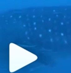 3256a614-9ebe-42fe-be0c-8e8df9e9d49d