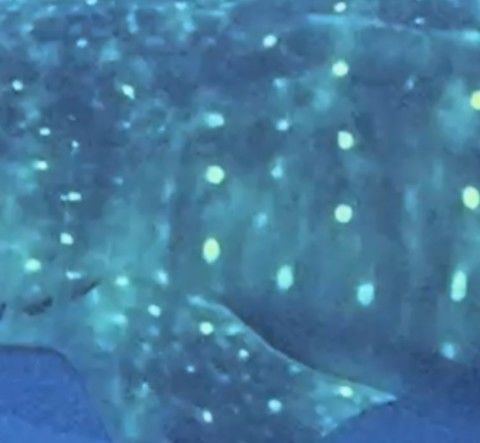 2de7af8e-5efe-4bdb-ba76-3b798c0cc961