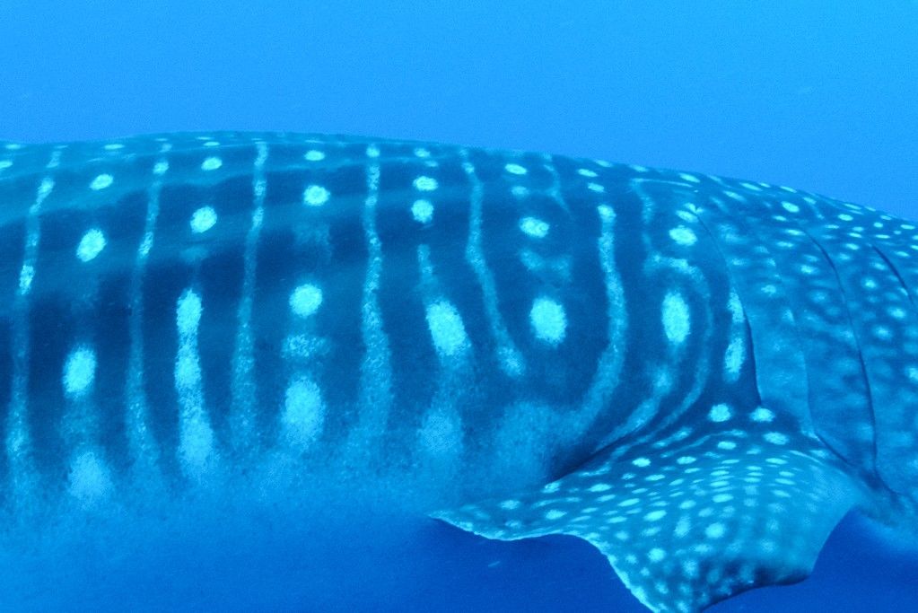 75831d9a-4b15-4a8b-8379-e79295da93dc