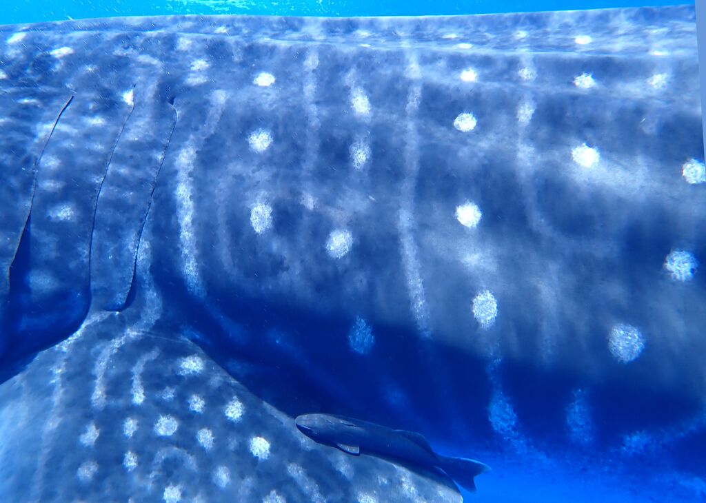 d2ccab82-43e6-4540-befd-d889cafaee56