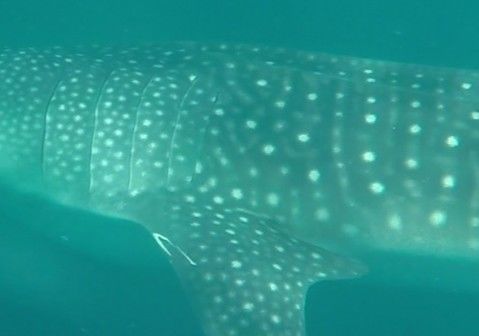 d4604d69-9add-411c-8d14-fbe9fd54096d