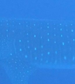 f6bc7f5f-128c-40e1-8ed0-6ed9e3b69874