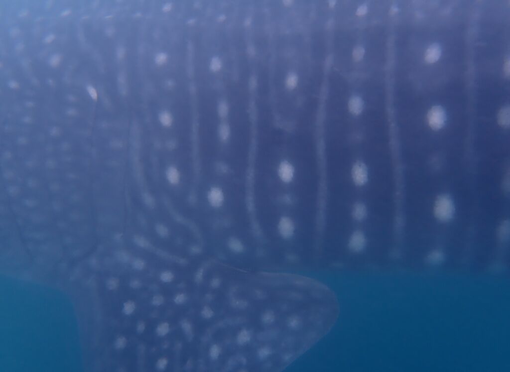 0bfe3ed4-24e6-4561-b04f-4260f9228215