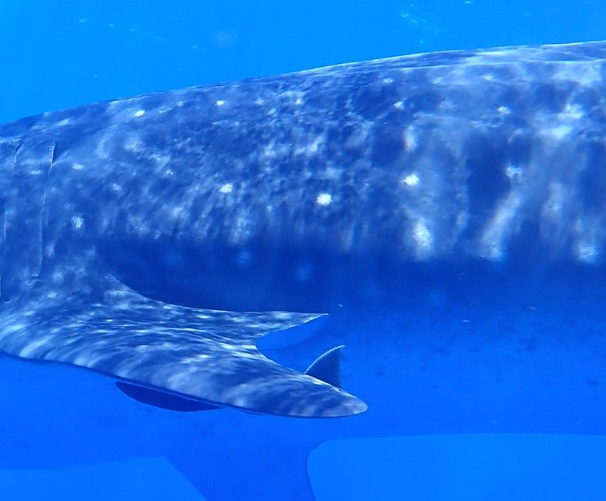 ca0773c4-7d46-4bc4-a1fa-2d085d366153