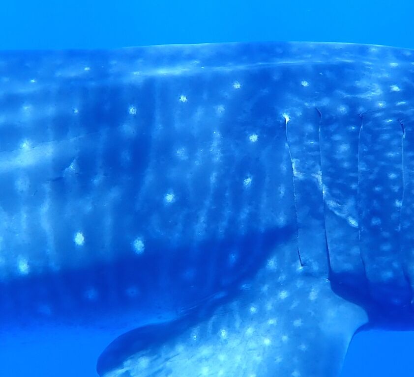 ca0773c4-7d46-4bc4-a1fa-2d085d366153