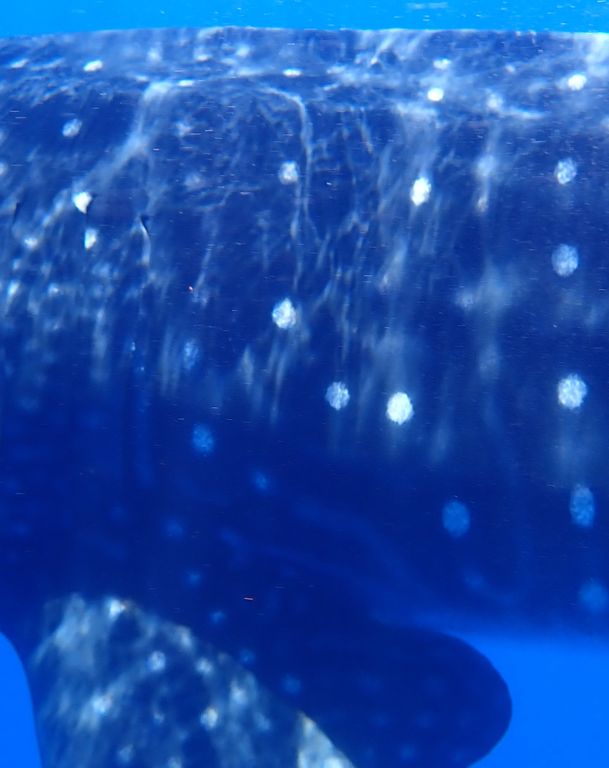 ca0455ed-bc6d-4e5a-ac88-7e7e7fb66cb7