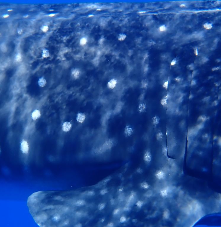 ca0455ed-bc6d-4e5a-ac88-7e7e7fb66cb7