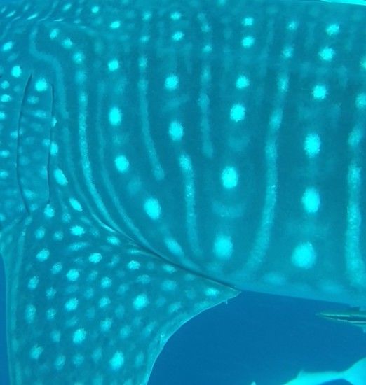 b28792cf-587b-4c95-bca1-dee0cf426282