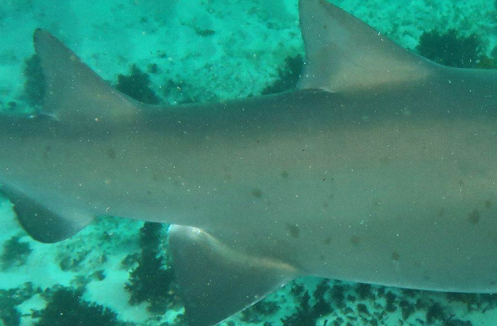 d3e5676f-2e69-4172-b788-50a3dd008a21