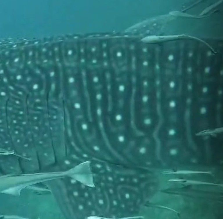 37d0b693-92c1-48a1-97f8-14ad86a08f05