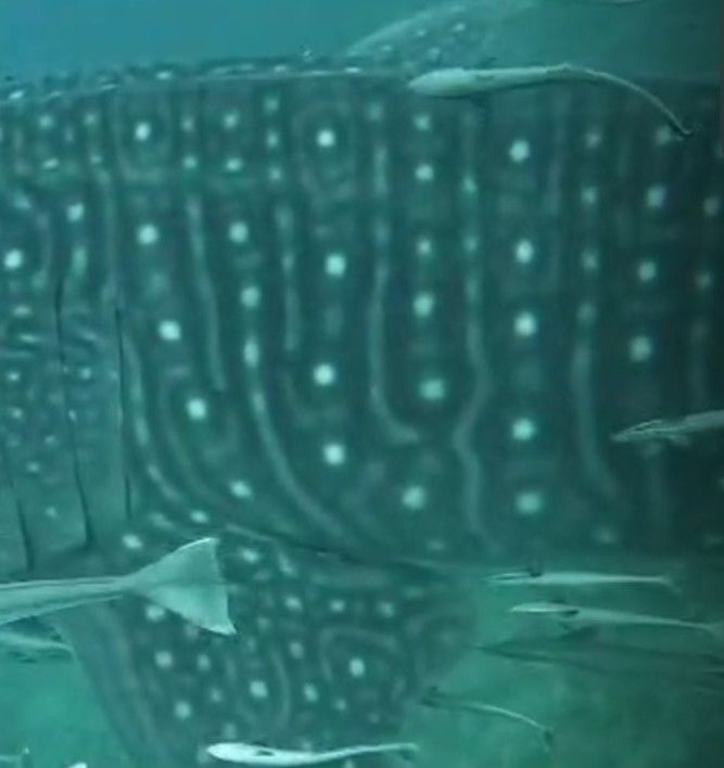 37d0b693-92c1-48a1-97f8-14ad86a08f05