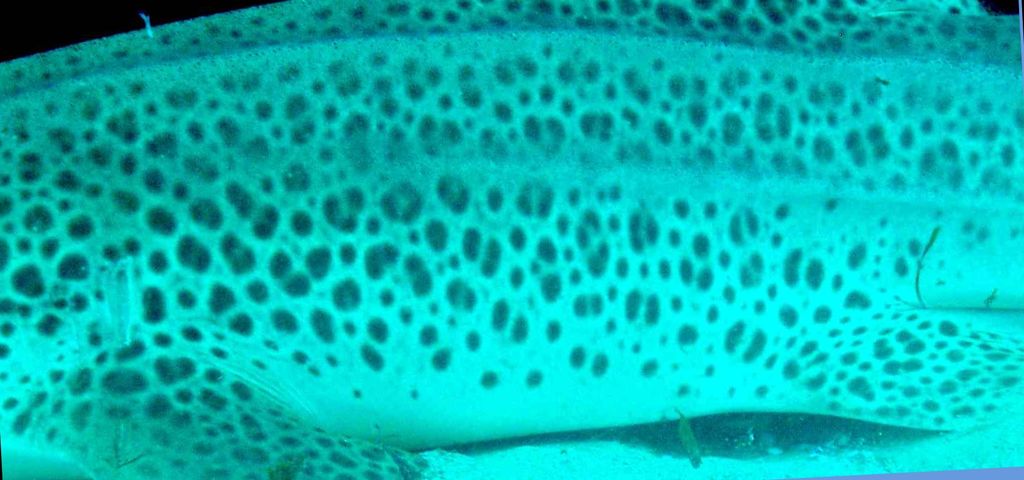 252e60bb-7a34-4e33-8f37-dab1ef164b63