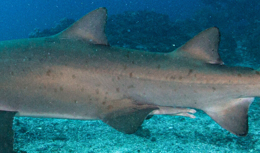 0847b9b2-1328-4a54-bf5f-a5c4ecbedc66