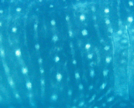 29ad1b6e-077e-4815-85b7-cdb76876a8cf