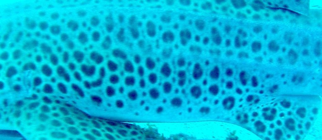 140197be-5553-41e1-a8fe-4f7b7472bb2c