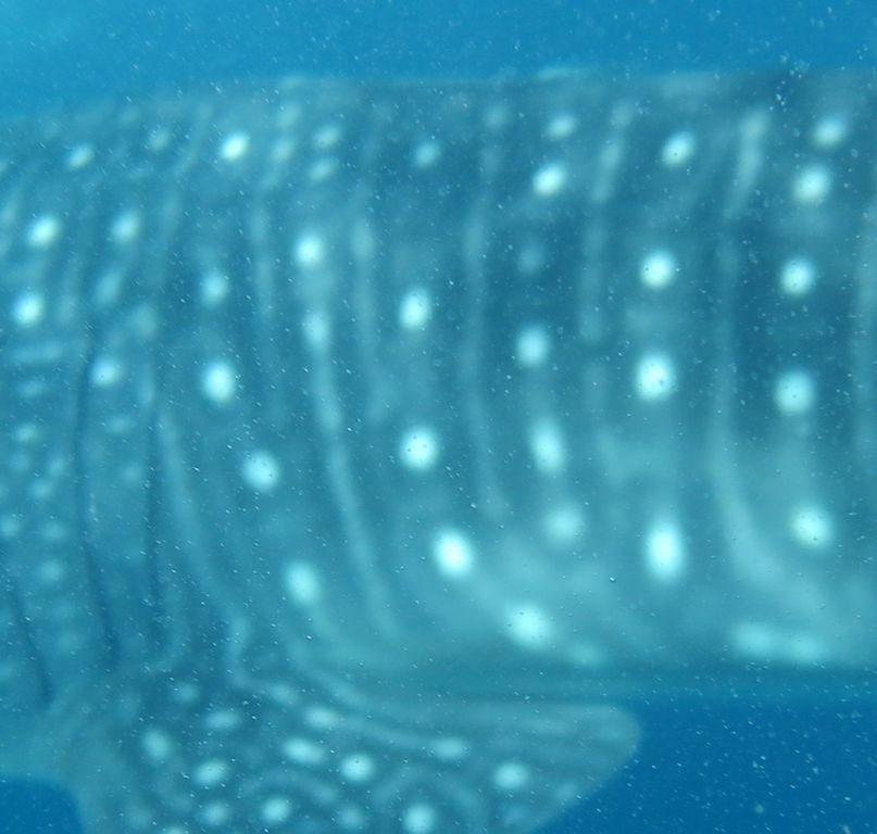 98d19033-11e2-4036-a7b4-3ff1c7a8466d