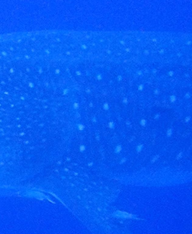 84645220-c67a-4188-bbbf-8b4292210c9f